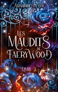 Les Maudits de Faerywood, Livre 3