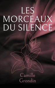 Les morceaux du silence