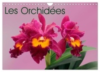 Monarchc Monarchc - CALVENDO Nature  : Les Orchidées (Calendrier mural 2024 DIN A4 vertical), CALVENDO calendrier mensuel - Les orchidées exotiques.