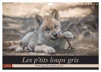 Arnaud Camel - CALVENDO Animaux  : Les p'tits loups gris (Calendrier mural 2024 DIN A4 vertical), CALVENDO calendrier mensuel - Petit loup deviendra grand ....