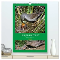 Les passereaux à l'orée de la vie  (Calendrier mural 2026 DIN A2 horizontal) calendrier de bureau