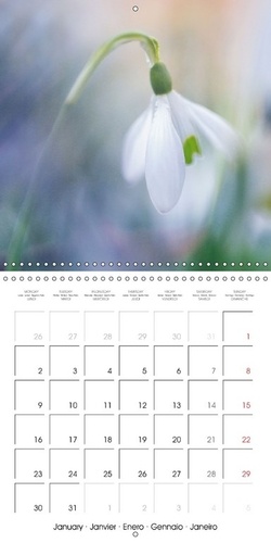 Les petites fleurs sauvages. La beauté des fleurs sauvages. Calendrier mural 2017