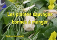 Les plantes sauvages bonnes à manger.pdf