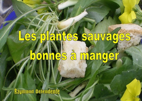 Raymond Defendente - Les plantes sauvages bonnes à manger.