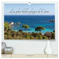 Les plus belles plages de Corse  (Calendrier mural 2026 DIN A2 vertical) calendrier de bureau