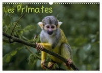 Franckfotography Franckfotography - CALVENDO Animaux  : Les Primates (Calendrier mural 2024 DIN A3 vertical), CALVENDO calendrier mensuel - Retrouvez les portraits des principaux représentant des primates..