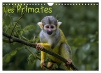Franckfotography Franckfotography - CALVENDO Animaux  : Les Primates (Calendrier mural 2024 DIN A4 vertical), CALVENDO calendrier mensuel - Retrouvez les portraits des principaux représentant des primates..