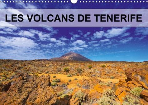 Les volcans de Tenerife. Volcans, plantes et pins parsèment les coulées de lave