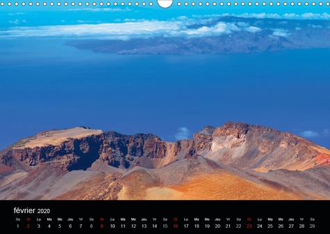 Les volcans de Tenerife. Volcans, plantes et pins parsèment les coulées de lave