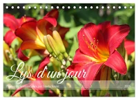 Lys d'un jour (Calendrier de bureau 2026 DIN A5 vertical), CALVENDO calendrier mensuel