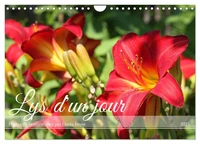 Lys d'un jour (Calendrier mural 2025 DIN A4 vertical), CALVENDO calendrier mensuel