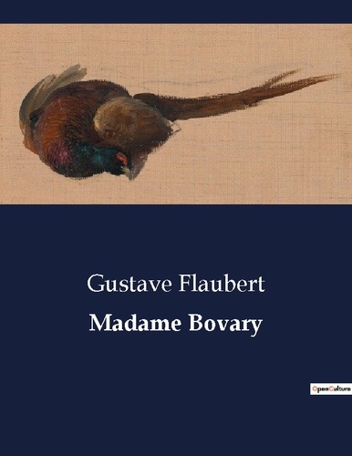 Littérature d'Espagne du Siècle d'or à aujourd'hui  Madame Bovary