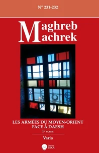 Les armées du Moyen-Orient face à Daesh