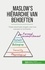 Maslow's hiërarchie van behoeften. Vitale informatie krijgen over hoe mensen te motiveren