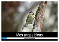 Michel Denis - CALVENDO Nature  : Mes anges bleus en Île-de-France (Calendrier mural 2024 DIN A3 vertical), CALVENDO calendrier mensuel - La mésange bleue dans des postures improbables.