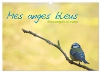 Jérôme Aupeix - CALVENDO Animaux  : Mes anges bleus "mésanges bleues" (Calendrier mural 2024 DIN A3 vertical), CALVENDO calendrier mensuel - Mésanges bleues d'Europe.