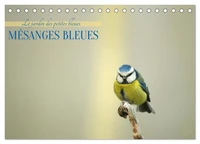 Mésanges bleues (Calendrier de bureau 2027 DIN A5 vertical), CALVENDO calendrier mensuel