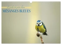 Mésanges bleues (Calendrier mural 2027 DIN A3 vertical), CALVENDO calendrier mensuel
