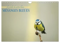 Mésanges bleues (Calendrier mural 2027 DIN A4 vertical), CALVENDO calendrier mensuel