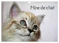 Mine de chat (Calendrier mural 2026 DIN A4 vertical), CALVENDO calendrier mensuel