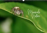 Olivier Laurent - CALVENDO Nature  : Minuscule Nature (Calendrier mural 2023 DIN A3 horizontal) - Bienvenue dans le monde des insectes de nos jardins (Calendrier mensuel, 14 Pages ).