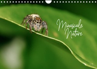 Olivier Laurent - CALVENDO Nature  : Minuscule Nature (Calendrier mural 2023 DIN A4 horizontal) - Bienvenue dans le monde des insectes de nos jardins (Calendrier mensuel, 14 Pages ).