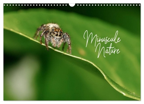 Olivier Laurent - CALVENDO Nature  : Minuscule Nature (Calendrier mural 2024 DIN A3 vertical), CALVENDO calendrier mensuel - Bienvenue dans le monde des insectes de nos jardins.