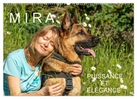 MIRA - PUISSANCE ET ÉLÉGANCE (Calendrier mural 2026 DIN A2 vertical), CALVENDO calendrier mensuel