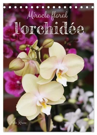 Miracle floral l'orchidée (Calendrier de bureau 2026 DIN A5 horizontal), CALVENDO calendrier mensuel
