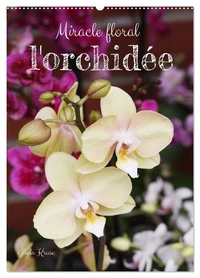 Miracle floral l'orchidée (Calendrier mural 2026 DIN A2 horizontal), CALVENDO calendrier mensuel