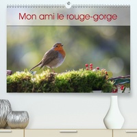 Mon ami le rouge-gorge(Premium, hochwertiger DIN A2 Wandkalender 2020, Kunstdruck in Hochglanz) - Une année de la vie du rouge-gorge (Calendrier mensuel, 14 Pages ).pdf