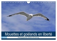 Elena duvernay elenarts - - CALVENDO Places  : Mouettes et goélands en liberté (Calendrier mural 2024 DIN A4 vertical), CALVENDO calendrier mensuel - Mouettes et goélands au quotidien.