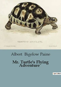 Mr. Turtle's Flying Adventure