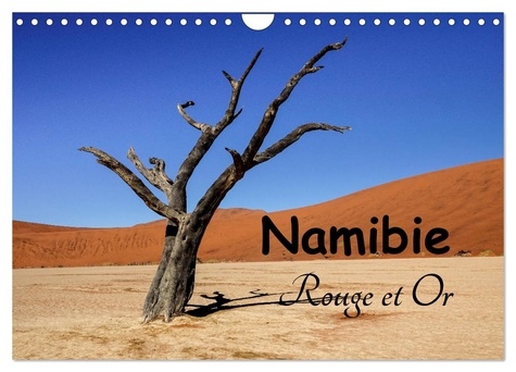 Michel Denis - CALVENDO Nature  : Namibie Rouge et Or (Calendrier mural 2024 DIN A4 vertical), CALVENDO calendrier mensuel - Michel DENIS, photographe et cueilleur d'images, vous fait partager un de ses voyages. Un calendrier pour vous faire rêver sur un pays magnifique: la Namibie.