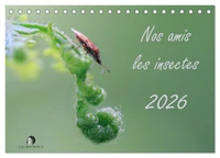 Nos amis les insectes (Calendrier de bureau 2026 DIN A5 vertical), CALVENDO calendrier mensuel