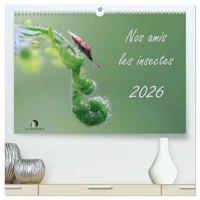 Nos amis les insectes (Calendrier mural 2026 DIN A2 vertical) calendrier de bureau
