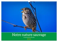 Notre nature sauvage, les passereaux d'Europe (Calendrier mural 2026 DIN A2 vertical), CALVENDO calendrier mensuel