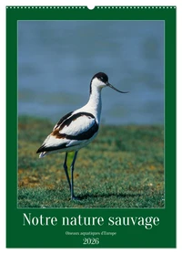 Notre nature sauvage, oiseaux aquatiques d'Europe (Calendrier mural 2026 DIN A2 horizontal), CALVENDO calendrier mensuel