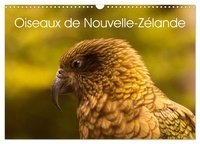  Collectif - CALVENDO Places  : Oiseaux de Nouvelle-Zélande (Calendrier mural 2024 DIN A3 vertical), CALVENDO calendrier mensuel - Photographies d'oiseaux de Nouvelle - Zélande.