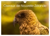  Collectif - CALVENDO Places  : Oiseaux de Nouvelle-Zélande (Calendrier mural 2024 DIN A4 vertical), CALVENDO calendrier mensuel - Photographies d'oiseaux de Nouvelle - Zélande.