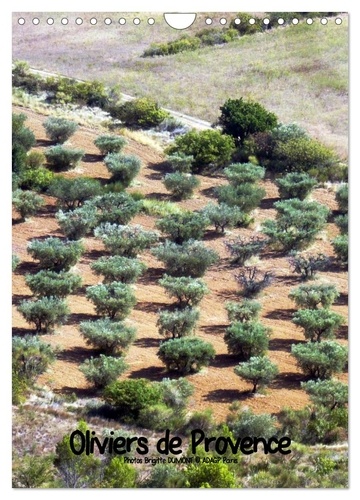  Collectif - CALVENDO Nature  : Oliviers de Provence (Calendrier mural 2024 DIN A4 horizontal), CALVENDO calendrier mensuel - Photos de ces majestueux oliviers de Provence.