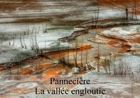 Alain Gaymard - Pannecière - La vallée engloutie.
