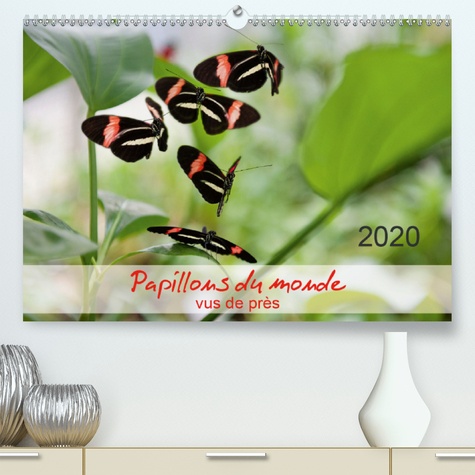 Papillons du monde, vus de près  Edition 2020