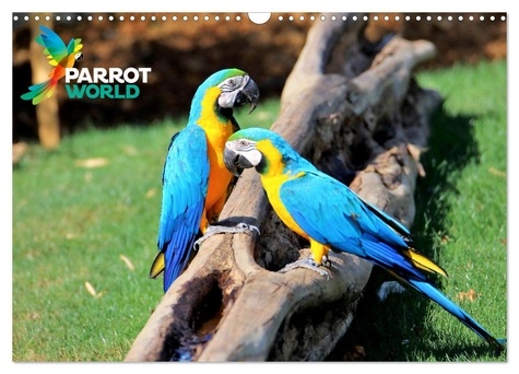 Patrick Casaert - CALVENDO Animaux  : Parrot World (Calendrier mural 2024 DIN A3 vertical), CALVENDO calendrier mensuel - Découvrez plusieurs animaux de ce parc animalier.