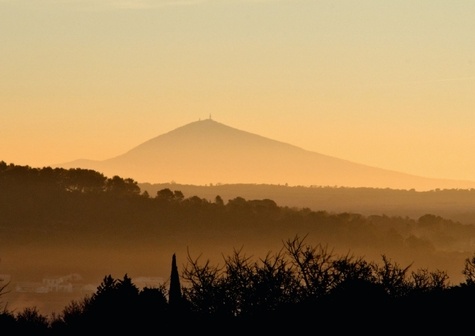 Paysages du Mont Ventoux