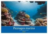 Paysages marins Une plongée fantastique (Calendrier mural 2027 DIN A2 vertical), CALVENDO calendrier mensuel