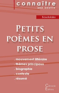 Petits poèmes en prose