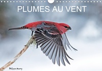 Philippe Henry - Plumes au vent.