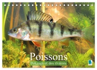 Poissons : d'étangs et des rivières (Calendrier de bureau 2027 DIN A5 vertical), CALVENDO calendrier mensuel