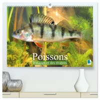 Poissons : d'étangs et des rivières (Calendrier mural haut de gamme 2027 DIN A2 vertical), CALVENDO calendrier mensuel